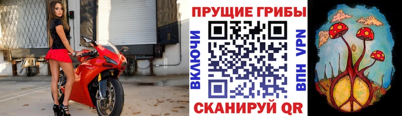 Галлюциногенные грибы Magic Shrooms  хочу   Новый Оскол 